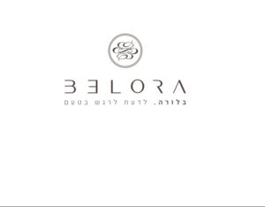 הנהלת חשבונות